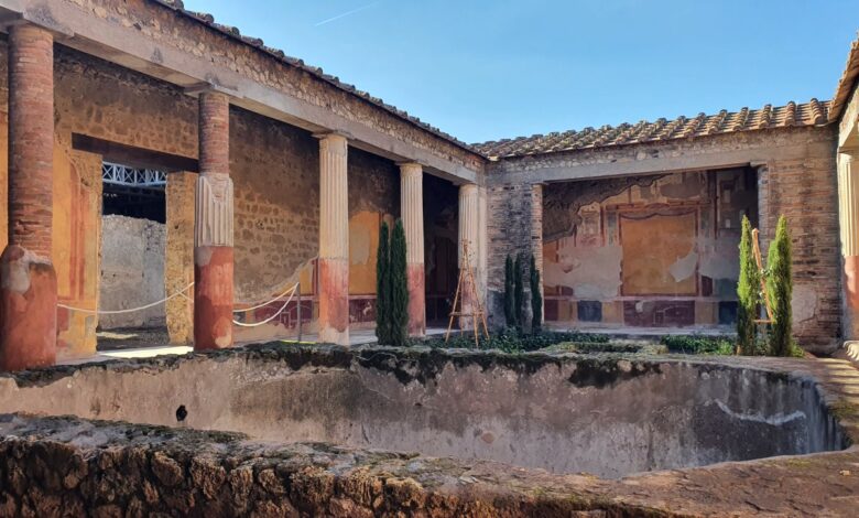 pompei-aprono-villa-diomede-casa-dioscuri