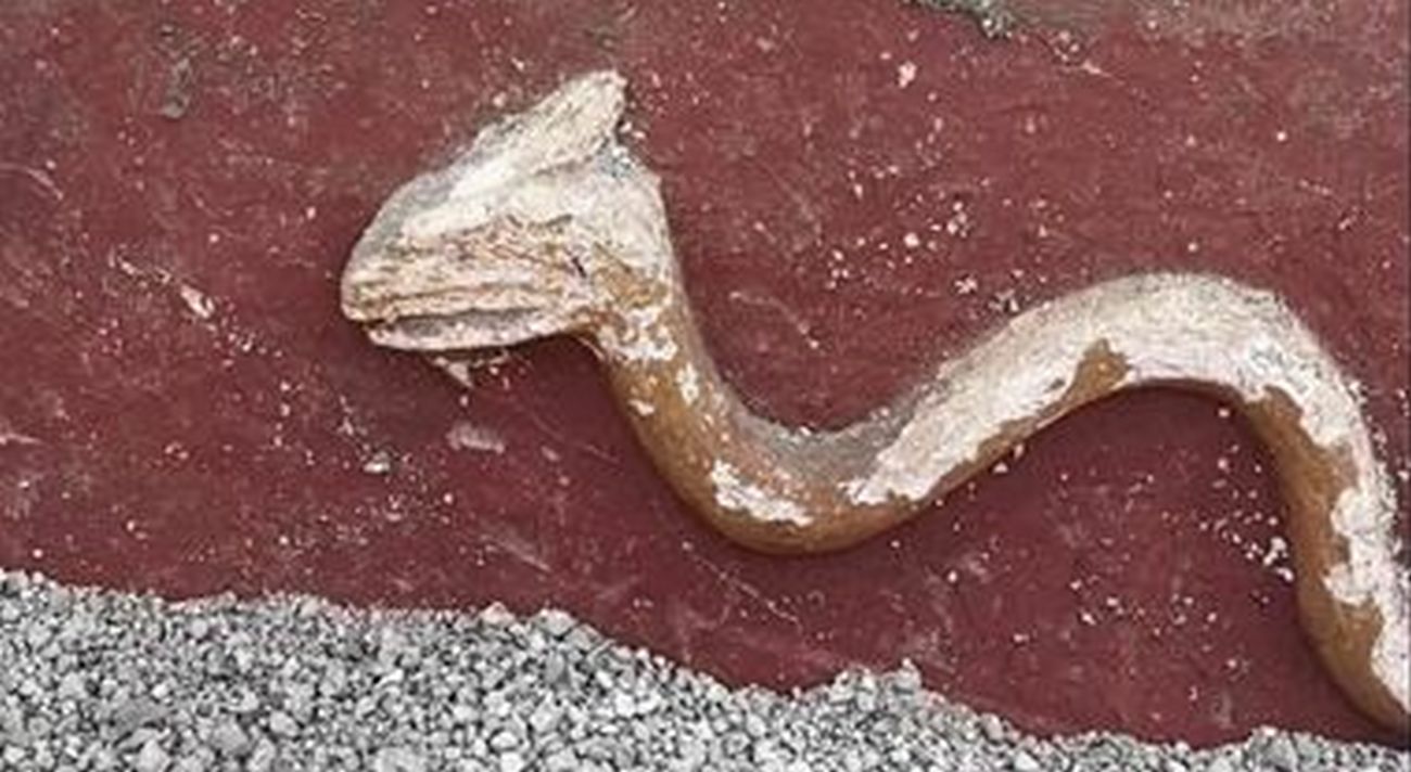pompei-scavi-serpente