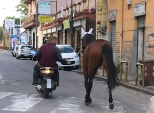Cavallo-scooter