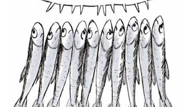 sardine-napoli-18-febbraio-quante-persone
