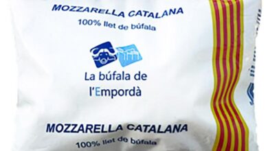 mozzarella-catalana