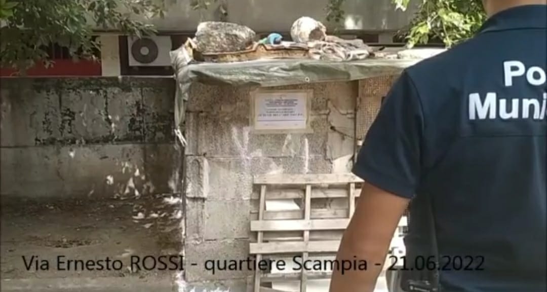 scampia-canili-abusivi-municipale-via-Rossi