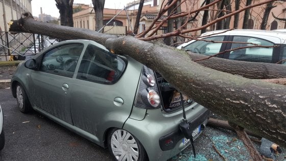 napoli albero crolla auto
