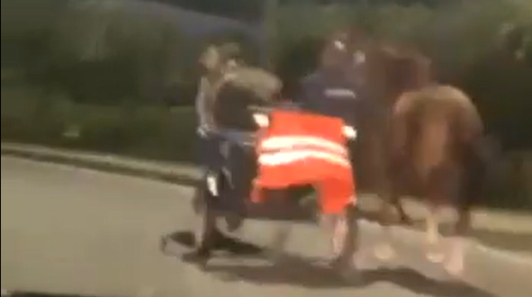 cavalli trainati scooter napoli