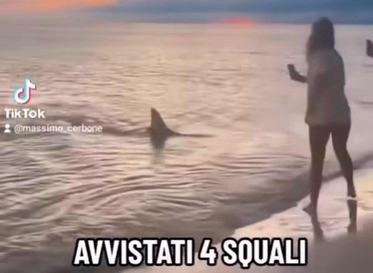 squali-varcaturo-video-ironico