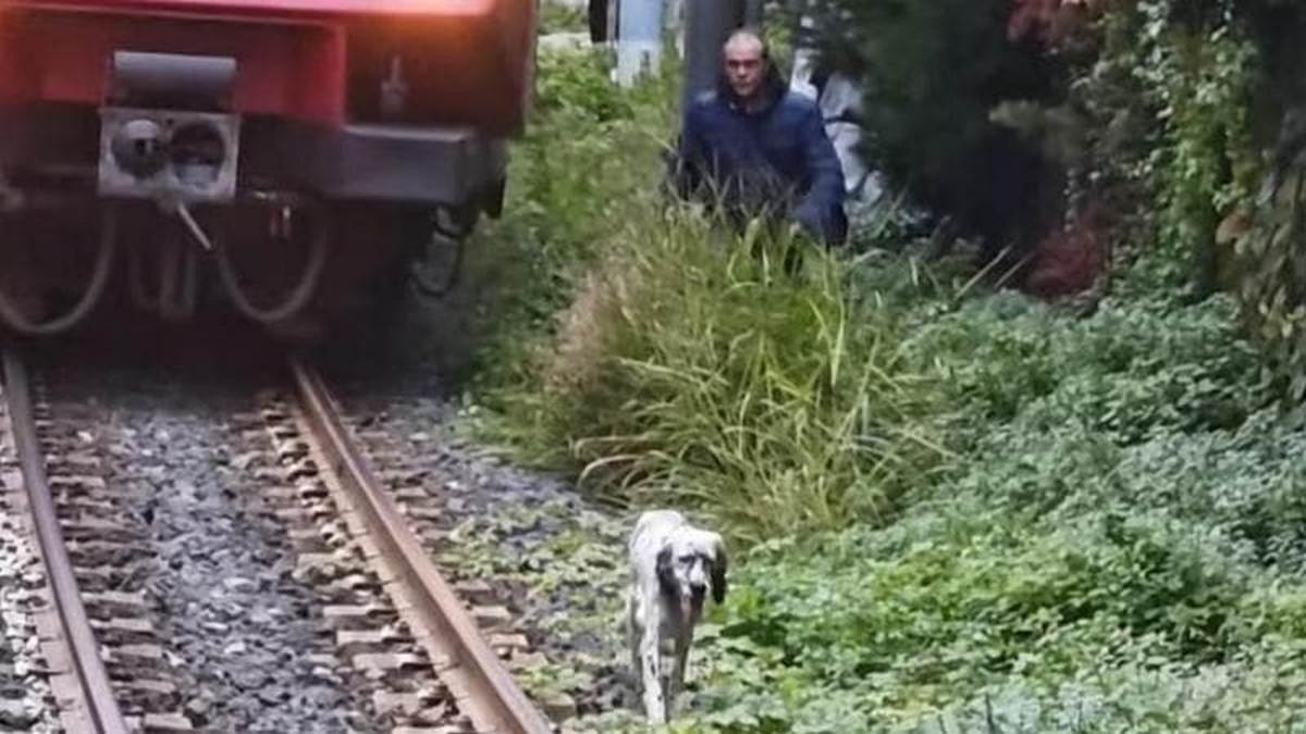 cane binari circumvesuviana salvato macchinista treno bloccato