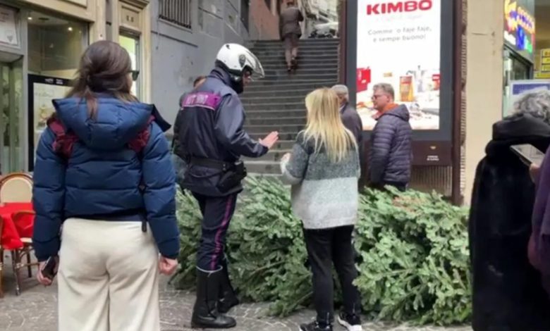 rubare albero Natale Teatro Augusteo Napoli