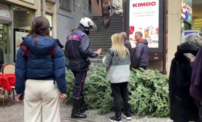 Napoli rubano albero Natale teatro Augusteo