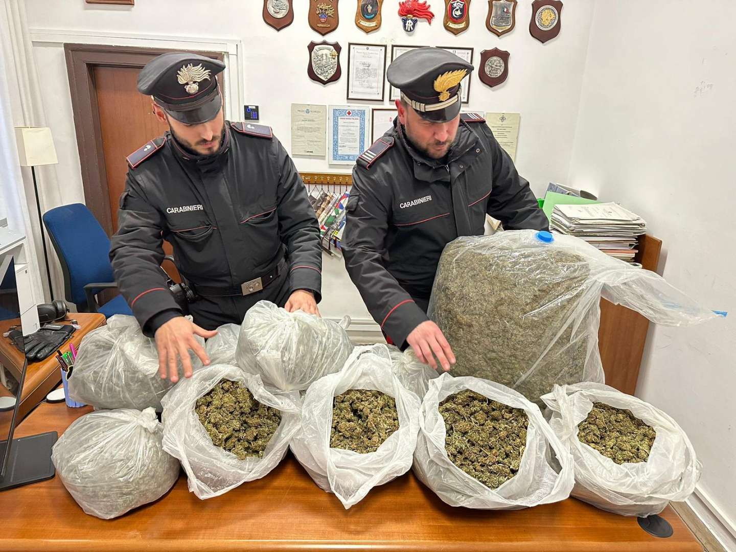 monti lattari sequestro marijuana arresto 23 febbraio