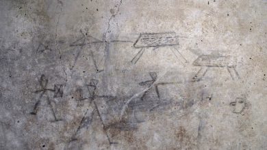 Pompei spuntano gladiatori cacciatori dipinti bambini