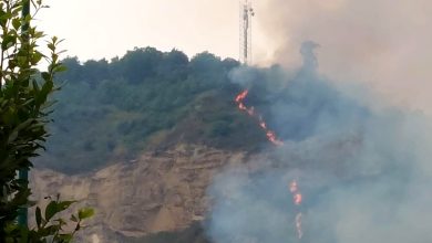 Incendio Napoli fiamme collina Camaldoli oggi 19 giugno
